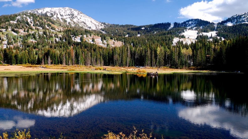 Incredible-Hulk.jpg..